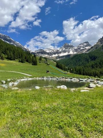 Edelweiss Hotel Champoluc Extérieur photo